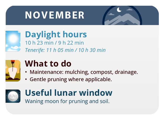 Here, we have the result of our labor, our beautiful girls. Here, we have the result of our labor, our beautiful girls.