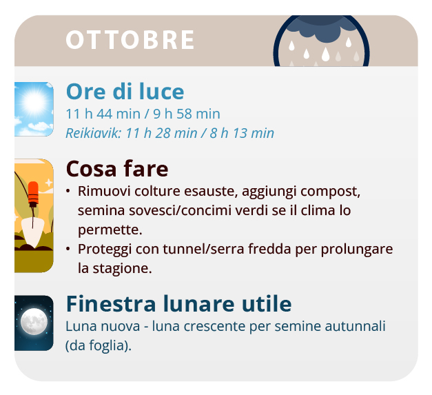 Rains are plentiful, so you have to watch out for the rotting of the flowers. Rains are plentiful, so you have to watch out for the rotting of the flowers.