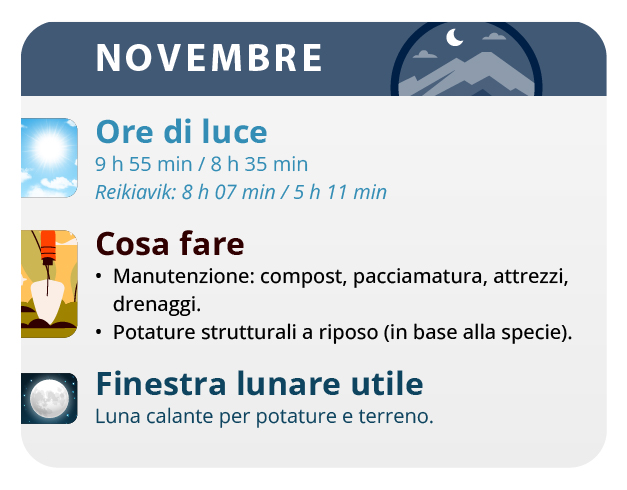 Here, we have the result of our labor, our beautiful girls. Here, we have the result of our labor, our beautiful girls.