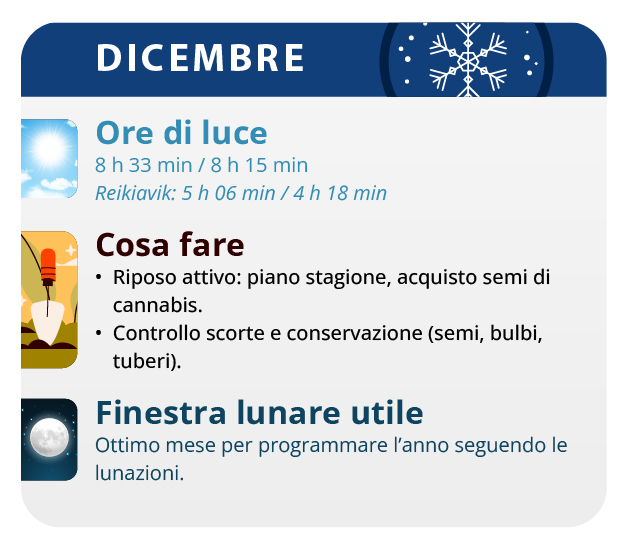 Here, we have the result of our labor, our beautiful girls. Here, we have the result of our labor, our beautiful girls.