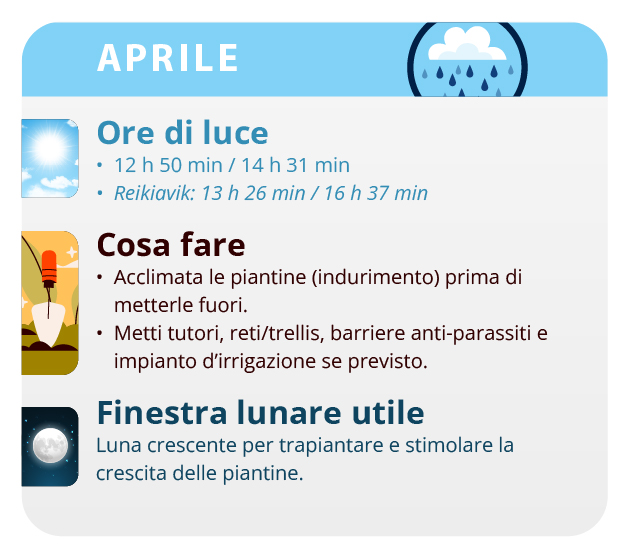 How to make marijuana cuttings. Image source: Buddha Genetics How to make marijuana cuttings. Image source: Buddha Genetics