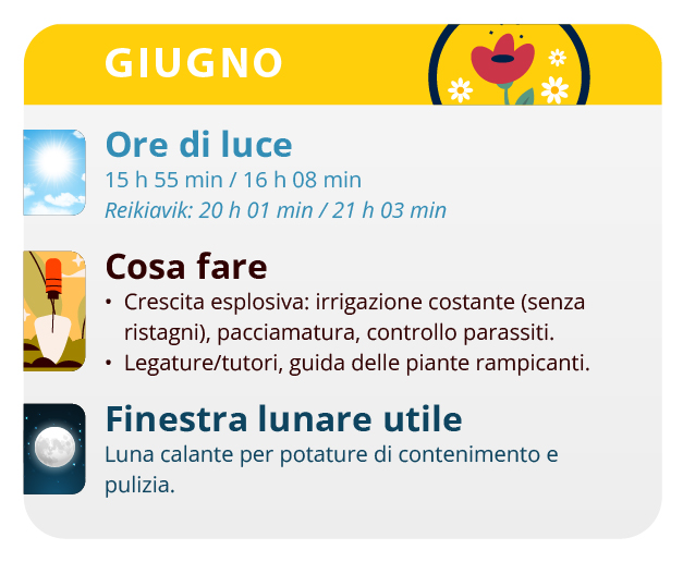 Plants grown outdoors will develop strongly this month Plants grown outdoors will develop strongly this month