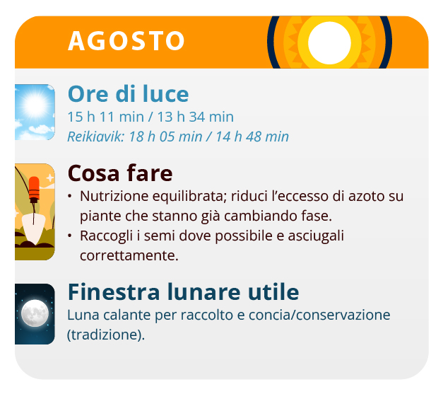 Here, we have the result of our labor, our beautiful girls. Here, we have the result of our labor, our beautiful girls.