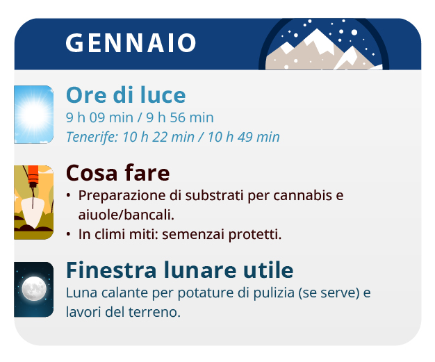 Prepare the soil and fertilize it with earthworm humus Prepare the soil and fertilize it with earthworm humus