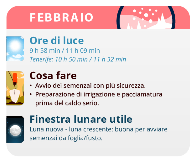 Here, we have the result of our labor, our beautiful girls. Here, we have the result of our labor, our beautiful girls.