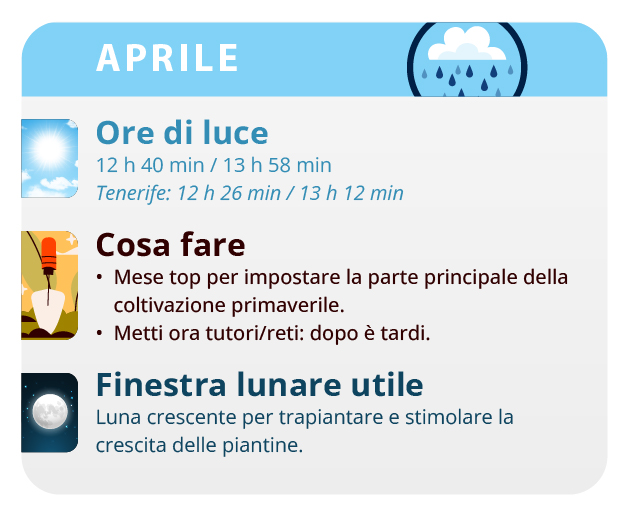 It is convenient to put the plants in at night so that they do not freeze. It is convenient to put the plants in at night so that they do not freeze.