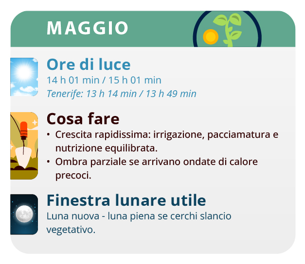 A good month to grow autoflowering varieties A good month to grow autoflowering varieties