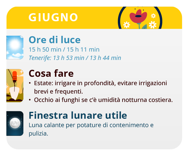 Your plants increase their height considerably during this month Your plants increase their height considerably during this month