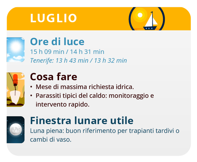 two months after germination is when marijuana shows its sexual character. two months after germination is when marijuana shows its sexual character.