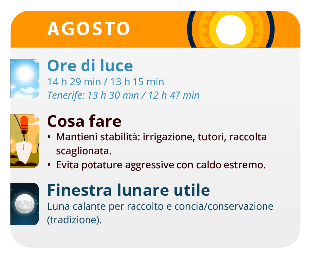 Maturation Trichomes Maturation Trichomes