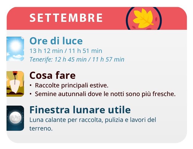Here, we have the result of our labor, our beautiful girls. Here, we have the result of our labor, our beautiful girls.