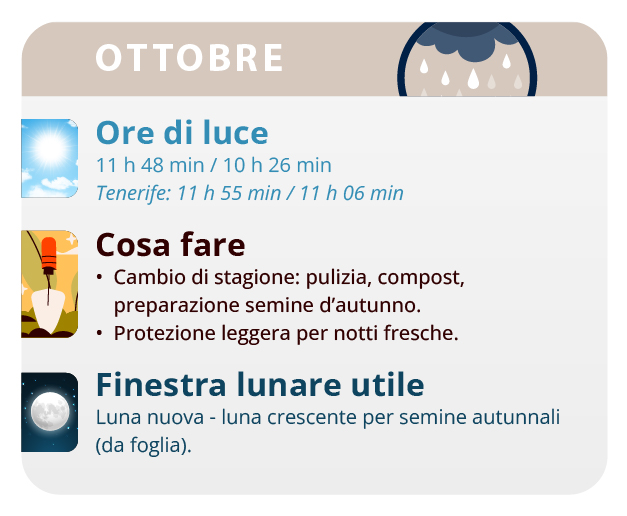 the rotting of the buds the rotting of the buds