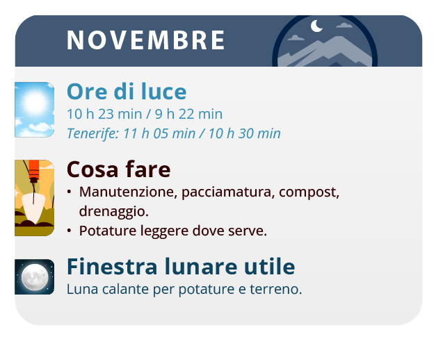 Here, we have the result of our labor, our beautiful girls. Here, we have the result of our labor, our beautiful girls.