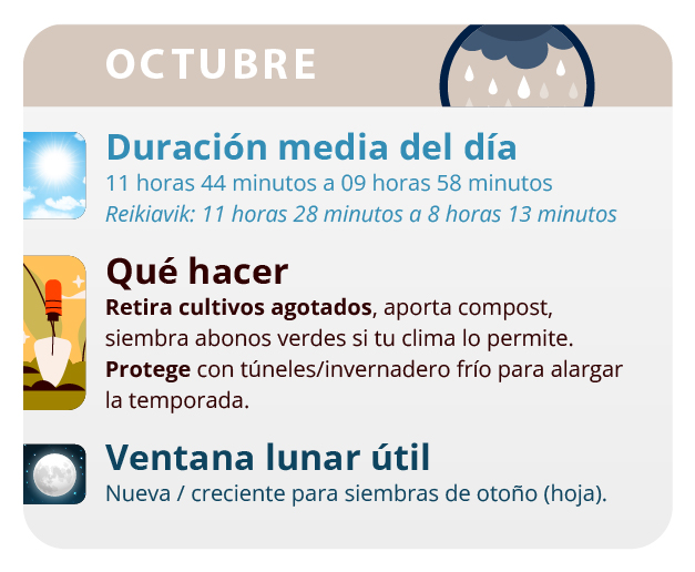 Las lluvias son abundantes por lo que tienes que estar atento a la pudrición de las flores. Las lluvias son abundantes por lo que tienes que estar atento a la pudrición de las flores.