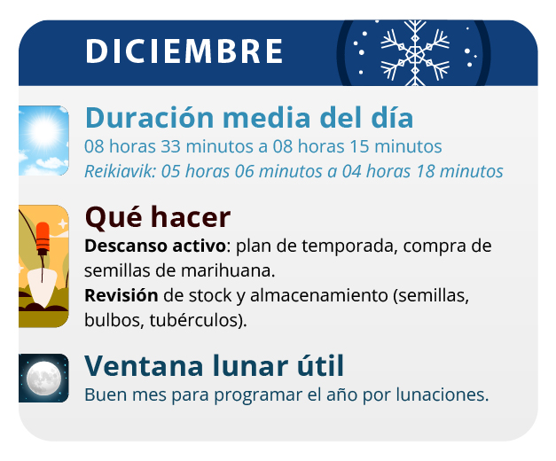 Las lluvias son abundantes por lo que tienes que estar atento a la pudrición de las flores. momento de disfrutar