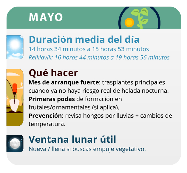 Las variedades autoflorecientes tienen un ciclo de cultivo de 3 meses Las variedades autoflorecientes tienen un ciclo de cultivo de 3 meses