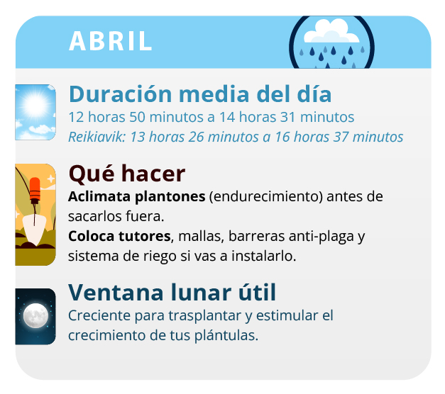 Como hacer esquejes de marihuana. Fuente imagen: Buddha Genetics Como hacer esquejes de marihuana. Fuente imagen: Buddha Genetics