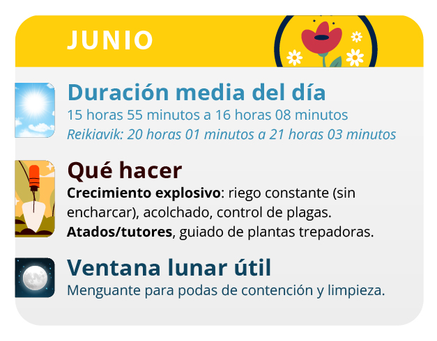 Las plantas cultivadas en exterior van a desarrollarse con fuerza este mes Las plantas cultivadas en exterior van a desarrollarse con fuerza este mes