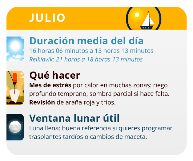 es el momento de identificar las plantas macho es el momento de identificar las plantas macho