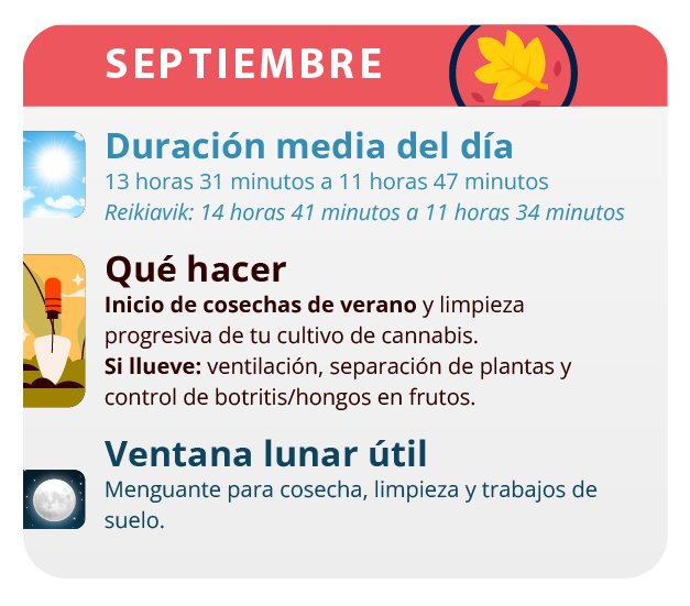 Es hora de recolectar las plantas comienzan a desarrollar más pistilos