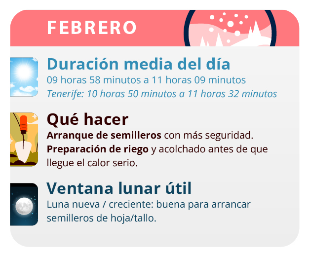 Preparar el suelo y fertilizarlo con humus de lombriz Preparar el suelo y fertilizarlo con humus de lombriz