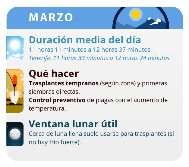 Este mes puedes empezar a hacer los primeros esquejes Este mes puedes empezar a hacer los primeros esquejes