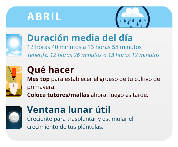 Es conveniente meter las plantas por la noche para que no se congelen Es conveniente meter las plantas por la noche para que no se congelen
