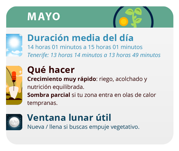 Un buen mes para cultivar variedades autoflorecientes Un buen mes para cultivar variedades autoflorecientes