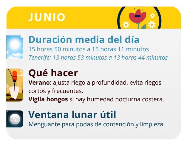 Tus plantas aumentar considerablemente su altura durante este mes Tus plantas aumentar considerablemente su altura durante este mes