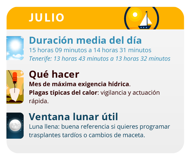 Después de la germinación es cuando la marihuana muestra su carácter sexual. Después de la germinación es cuando la marihuana muestra su carácter sexual.