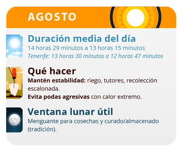 Después de la germinación es cuando la marihuana muestra su carácter sexual. Después de la germinación es cuando la marihuana muestra su carácter sexual.