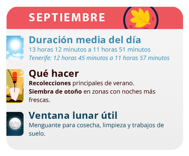 Después de la germinación es cuando la marihuana muestra su carácter sexual. Después de la germinación es cuando la marihuana muestra su carácter sexual.