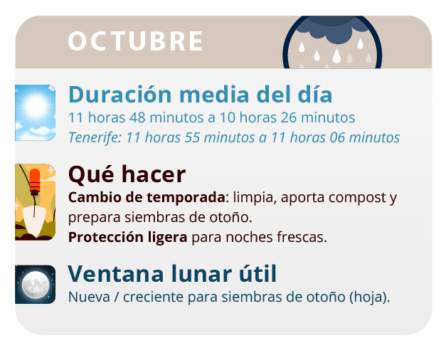 podredumbre de los cogollos podredumbre de los cogollos