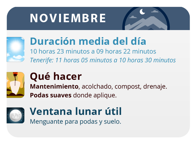 podredumbre de los cogollos podredumbre de los cogollos