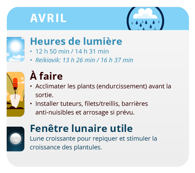 Comme faire des boutures de cannabis. Source de l'image: Buddha Genetics Comme faire des boutures de cannabis. Source de l'image: Buddha Genetics