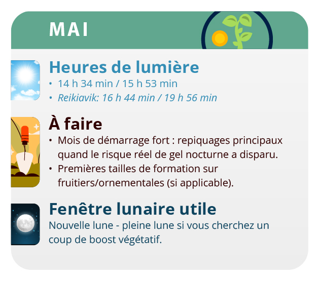 Les variétés autofloraison ont un cycle végétatif de 3 mois. Les variétés autofloraison ont un cycle végétatif de 3 mois.