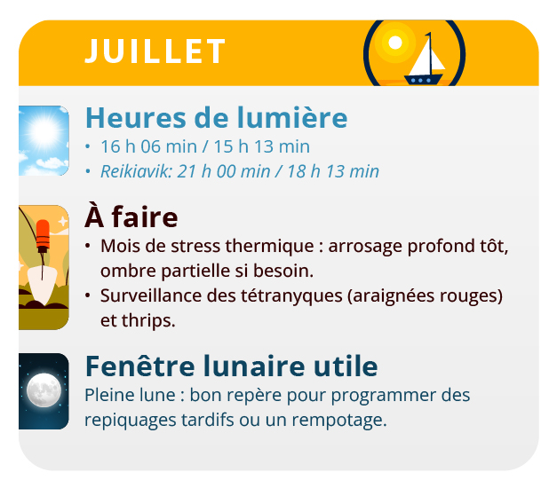 c'est le moment d'identifier les plantes mâles c'est le moment d'identifier les plantes mâles
