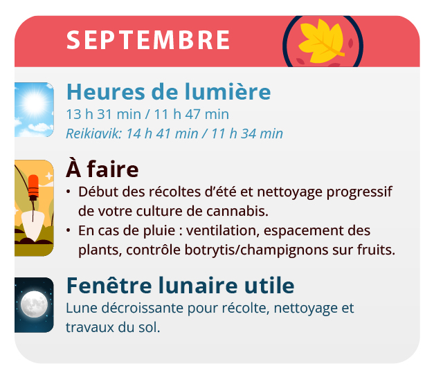 Placez des tuteurs sur les branches les plus lourdes Placez des tuteurs sur les branches les plus lourdes