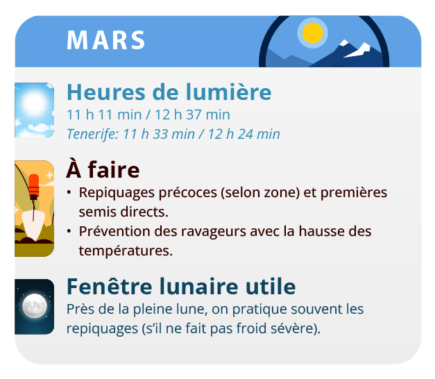 Ce mois-ci, vous pouvez commencer à faire les premières boutures Ce mois-ci, vous pouvez commencer à faire les premières boutures