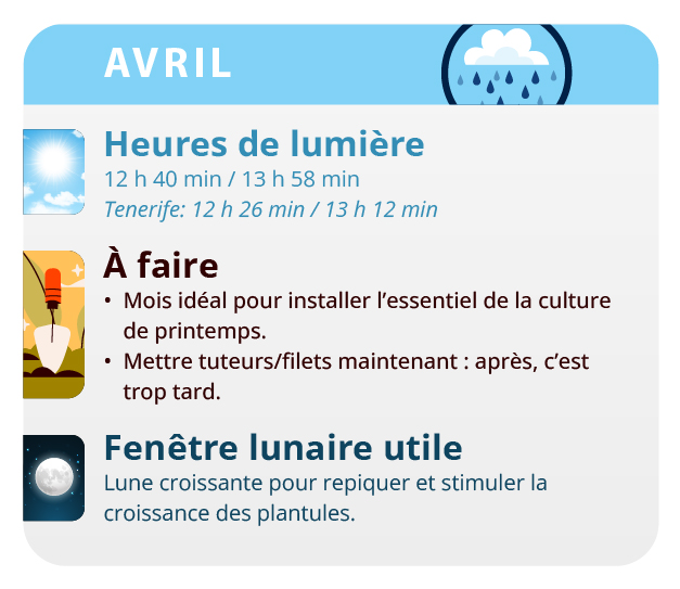 Il est conseillé de rentrer les plantes la nuit pour qu'elles ne gèlent pas Il est conseillé de rentrer les plantes la nuit pour qu'elles ne gèlent pas
