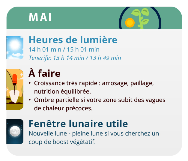 Un bon mois pour cultiver des variétés autofloraison Un bon mois pour cultiver des variétés autofloraison
