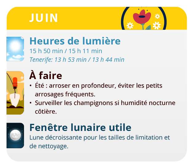 Vos plantes augmentent considérablement leur taille durant ce mois-ci. Vos plantes augmentent considérablement leur taille durant ce mois-ci.