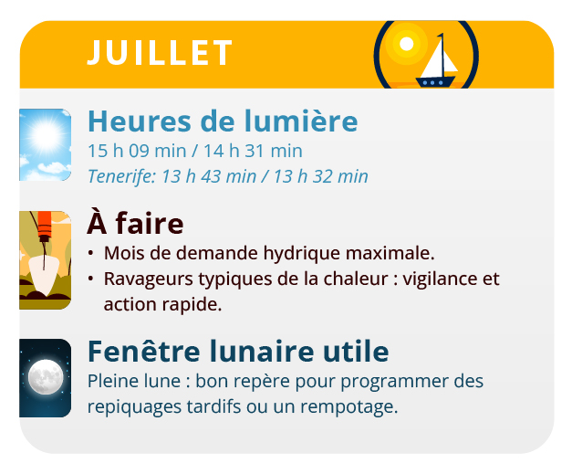 Après la germination, le cannabis montre son caractère sexuel. Après la germination, le cannabis montre son caractère sexuel.