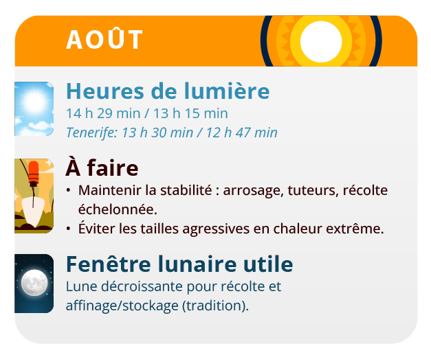 Maturation des trichomes Maturation des trichomes