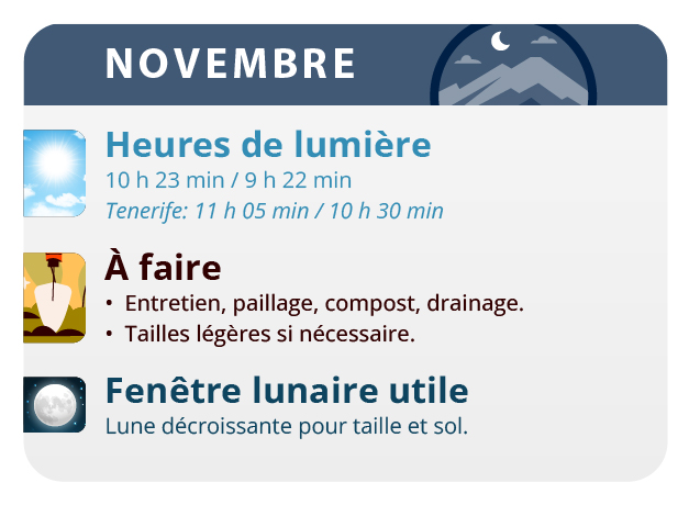 Ici, nous avons le résultat de notre travail, nos belles filles. Ici, nous avons le résultat de notre travail, nos belles filles.