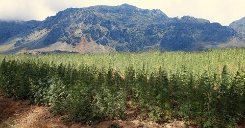 Catena montuosa del Rif, dove si trova la città di Ketama