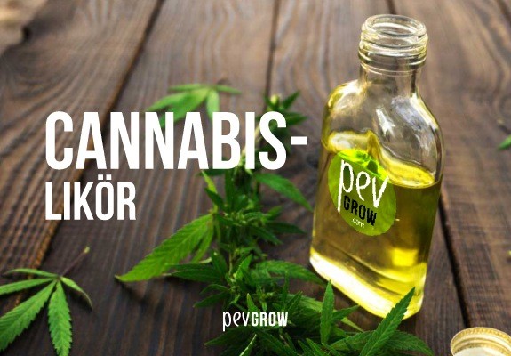 Selbst gemachter Cannabis-Likör: Rezept, Wirkung und Eigenschaften