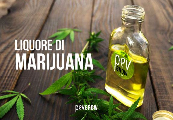 Immagine con liquore di marijuana a marchio PEV e foglie di cannabis sparse