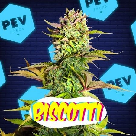 Biscotti PEV Bank