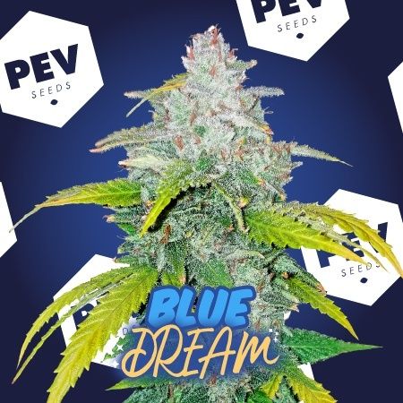 Blue Dream PEV Bank